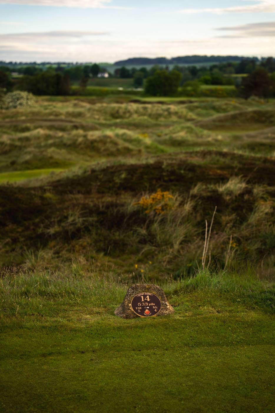 Revetted pot bunkering, cut into a dune face.
