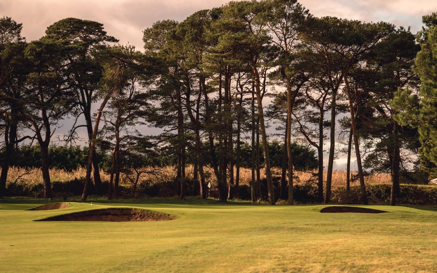 The Scots pine belts that divide the links.